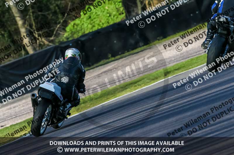 Oulton Park 20th March 2020;PJ Motorsport Photography 2020;anglesey;brands hatch;cadwell park;croft;donington park;enduro digital images;event digital images;eventdigitalimages;mallory;no limits;oulton park;peter wileman photography;racing digital images;silverstone;snetterton;trackday digital images;trackday photos;vmcc banbury run;welsh 2 day enduro